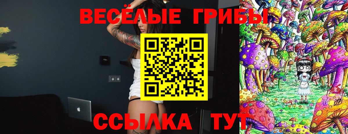Псилоцибиновые грибы прущие грибы Ставрополь