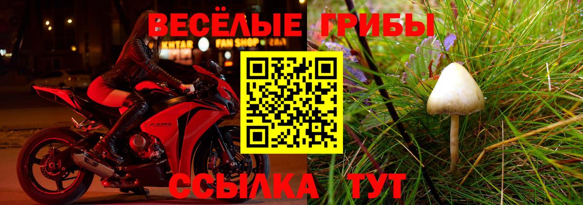 Ставрополь  Псилоцибиновые грибы Psilocybe  Вход с VPN 